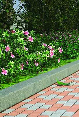 Бордюр садовый Бордюр садовый