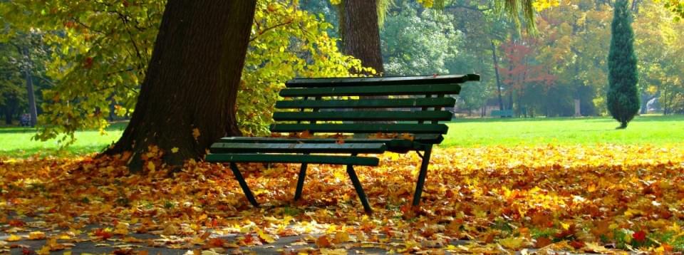 Скамейки Скамейки